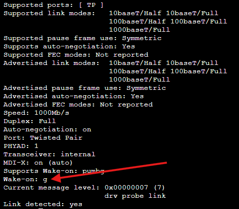 ethtool output with the Wake-on g line marked in red, confirming the card accepts the magic packet