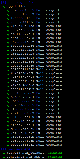 docker compose output pulling the image layers until it creates the npm_default network and starts the npm-app-1 container
