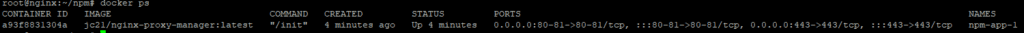 docker ps output showing the npm-app-1 container in the Up state with ports 80, 443 and 81 published