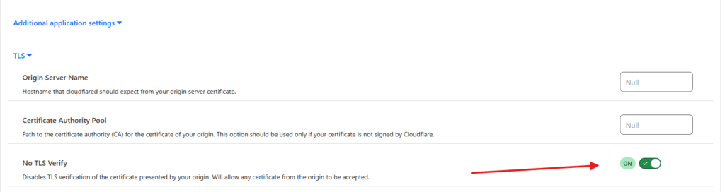 Additional TLS settings for the tunnel with the No TLS Verify option enabled and marked with a red arrow