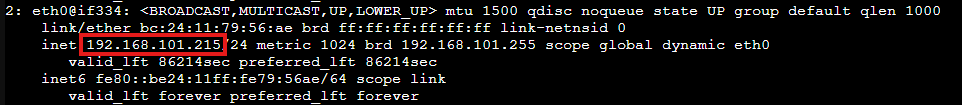 ip output with the server address 192.168.101.215/24 outlined in red