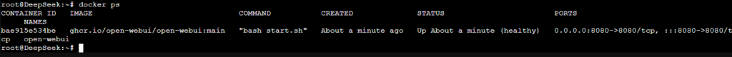 docker ps output with the Open WebUI container in the healthy state and port 8080 published
