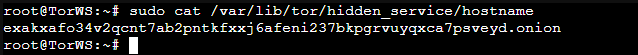 Terminal showing the hidden service hostname file, which contains the generated .onion address