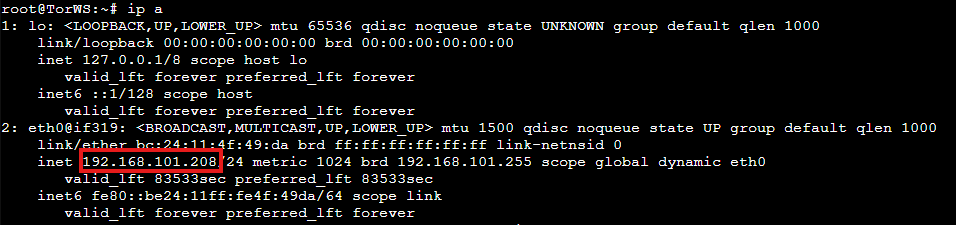 ip a output on the server with the address 192.168.101.208/24 outlined in red