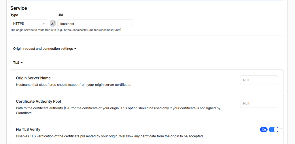 Configuración del servicio del túnel apuntando a HTTPS localhost con la opción No TLS Verify activada